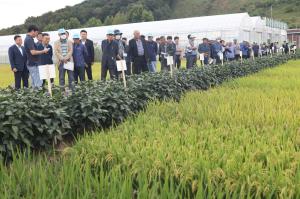 당진시, 2023년도 벼농사 종합평가회 개최