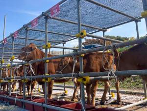 당진시, 2023 충남 좋은 가축 선발·고급육 경진대회 입상