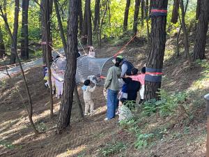당진시, 계림공원 유아숲체험원 개장