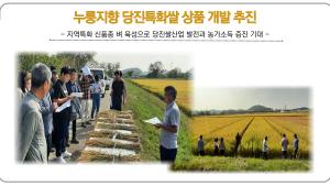 누룽지향 당진특화쌀 상품 개발 추진