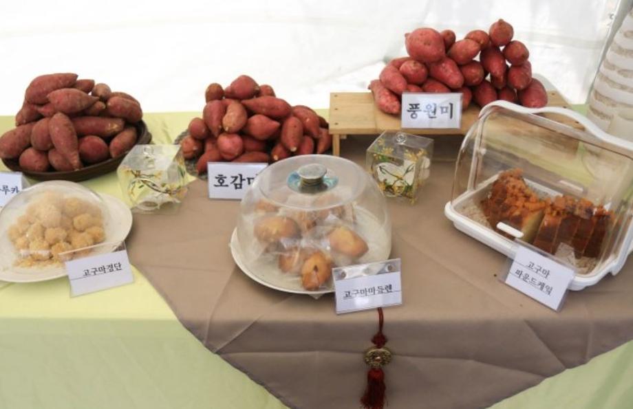 당진해나루황토고구마축제 2.JPG