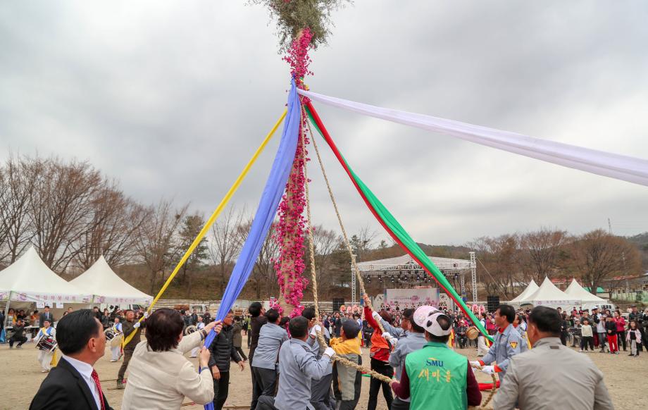 면천진달래축제 1.JPG