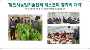 ‘당진시농업기술센터 채소분야 평가회 개최’