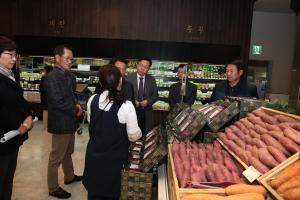 당진시, 명품 호박고구마‘당진호풍’ 현대백화점 12개 점 입점