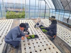 당진시농업기술센터, 2024년 신규농업인 현장실습 교육 연수생 모집