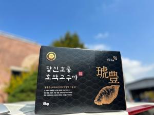 당진시, 국민 입맛 사로잡은 신품종 호박고구마 ‘당진호풍’조직배양묘 공급 시작