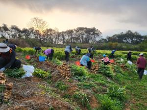 당진시, 외국인 계절근로자 도입 확대 추진