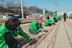 당진시, 2024 기지시줄다리기 축제 개최를 위한 큰 줄 제작해