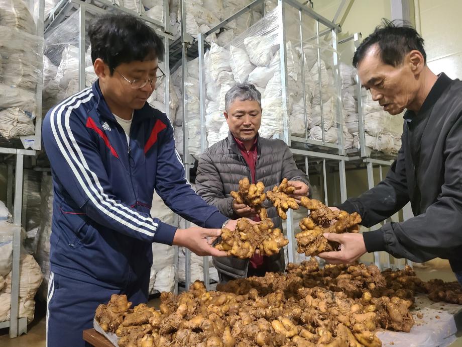 당진시, 전국 최초 농산물 저온저장 임차료 80% 지원 농가 호응 속 6개 조직, 1만여 톤 확대 이미지