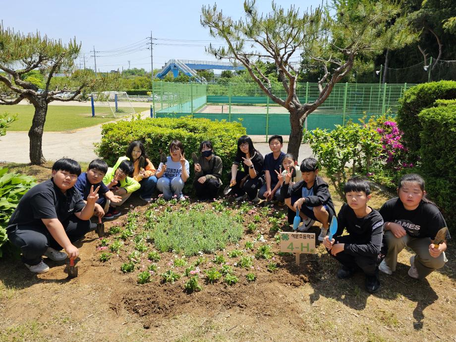 당진시농업기술센터, 학교4-H회 과제 활동‘꽃모 지원’ 이미지