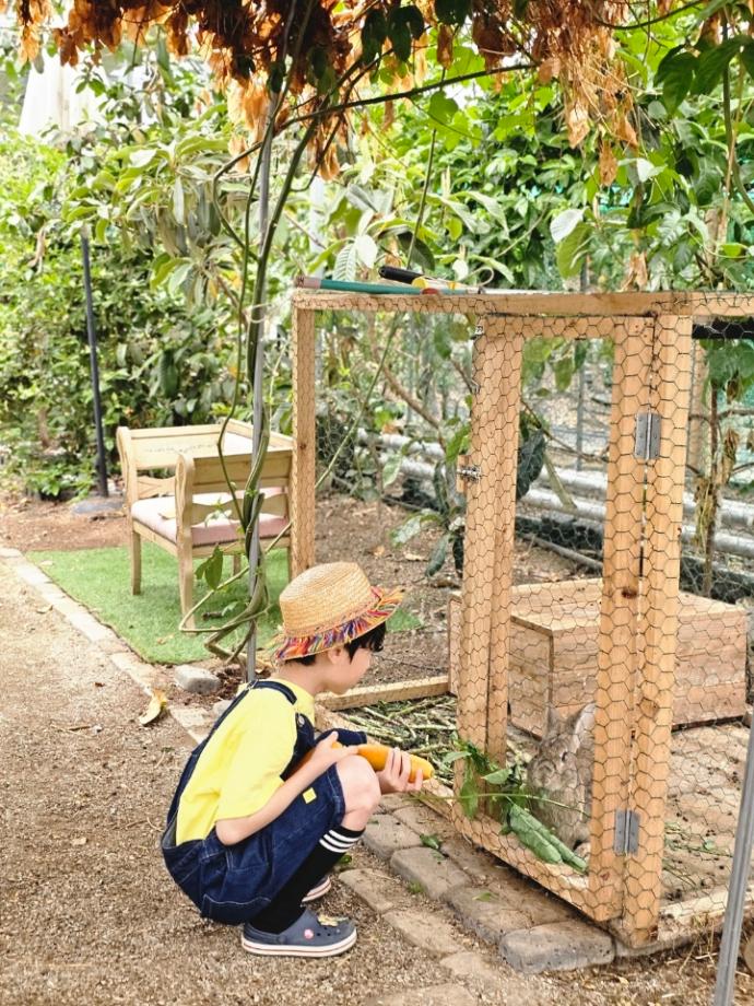 당진시농기센터, ㈜애기야가자 서포터스 당진 농촌체험 홍보 이미지