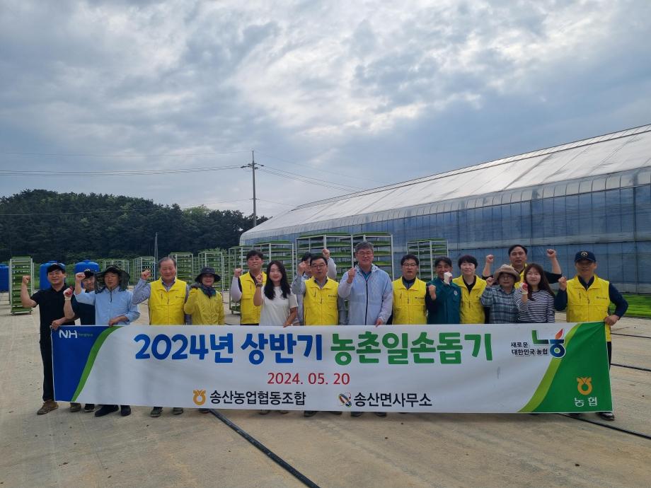 송산면 행정복지센터, 송산농협 합동 농촌 일손 돕기 펼쳐 이미지