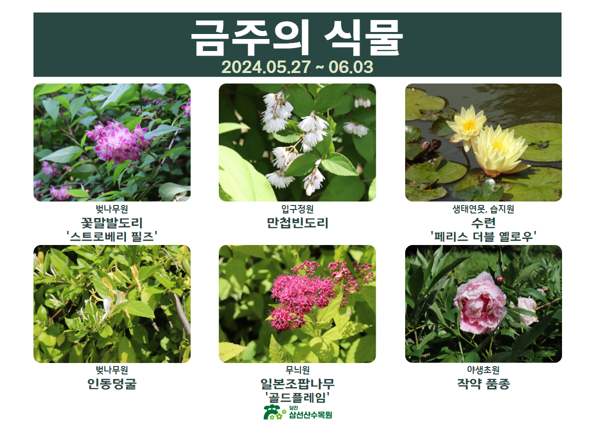 5월의 식물(2024.05.27.~06.03.)
