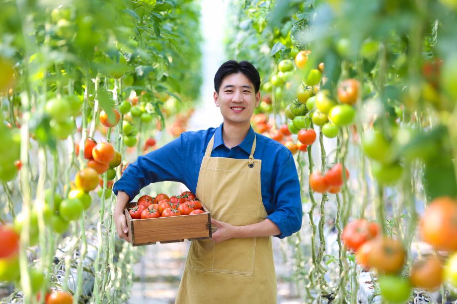 당진시, 스마트원예단지 입주 대상자 모집 공고 이미지