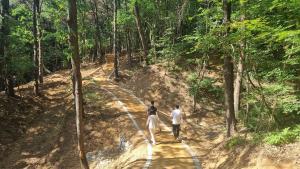 당진시, 계림공원에 맨발 산책로 조성