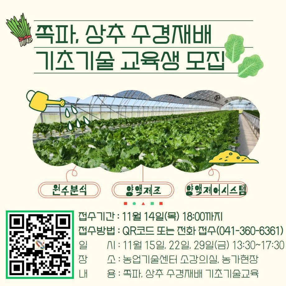 c당진시, 쪽파, 상추 수경재배 기초기술 교육생 모집 이미지
