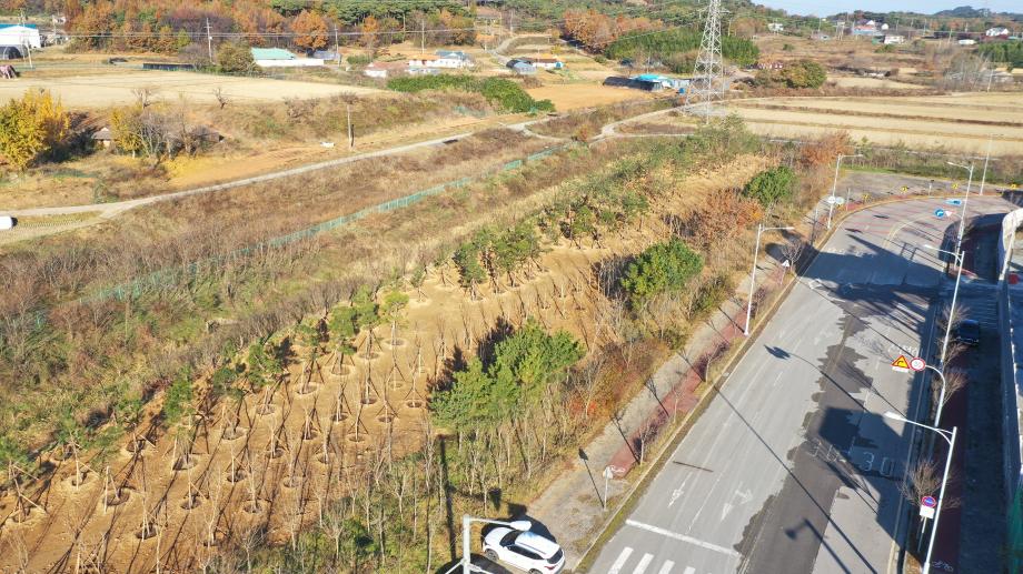 당진시, 석문국가산업단지 기후 대응 도시숲 조성 이미지