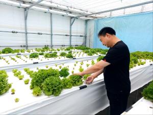당진시, 2025년 신규농업인 현장실습 교육 연수생 모집