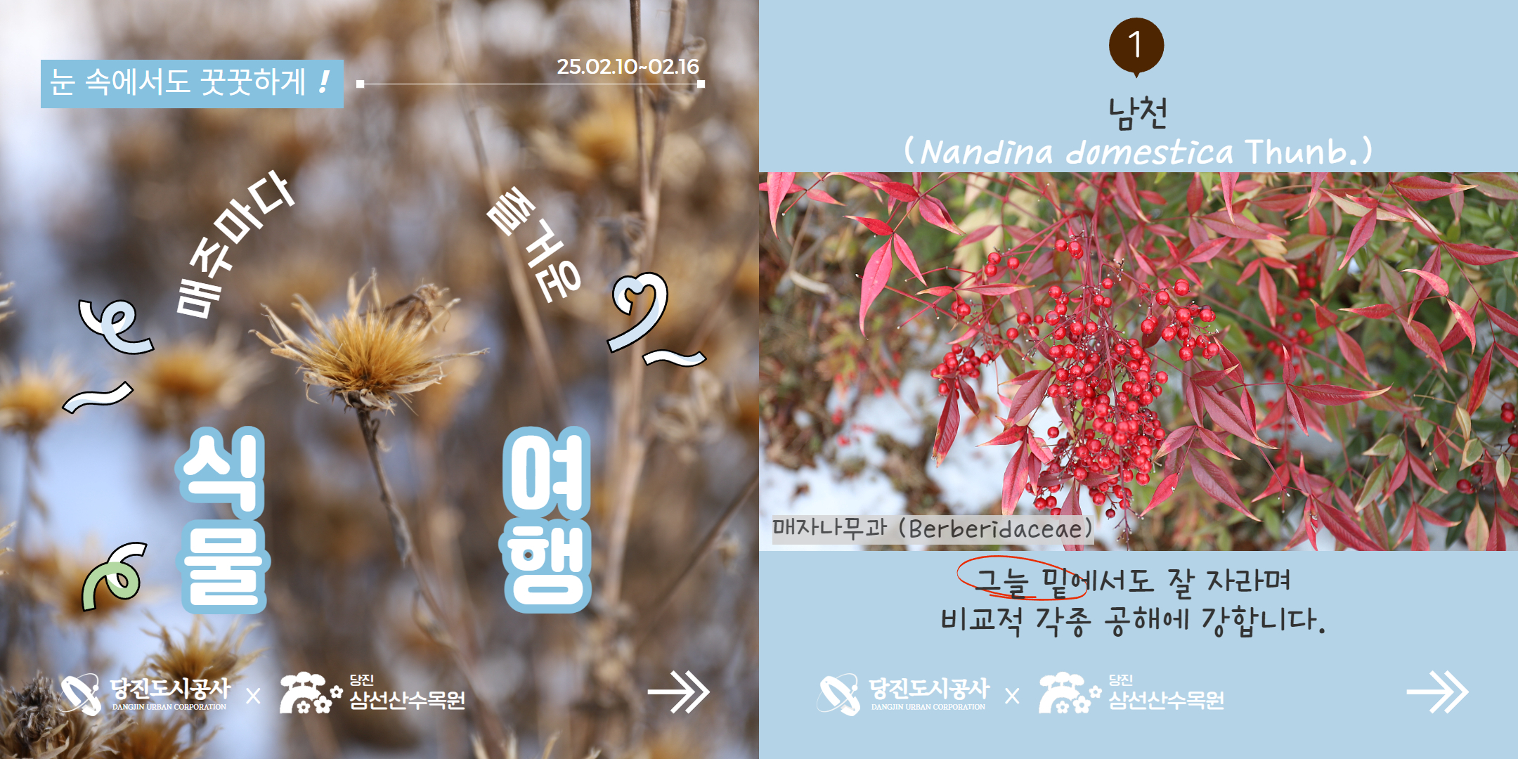 2월 2주차 식물여행