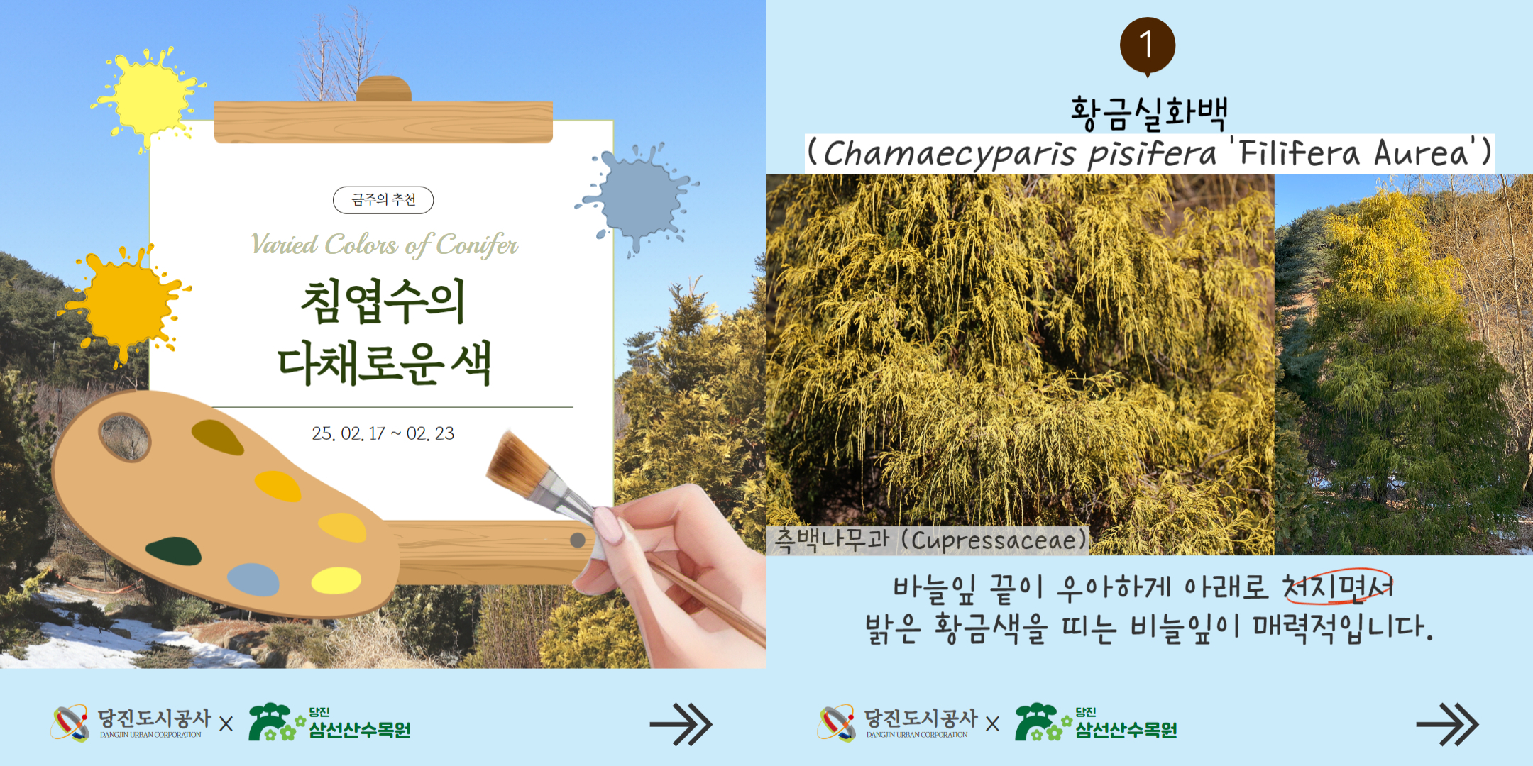 2월 3주차 식물여행