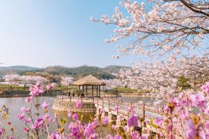 당진시, 2025년 개별 관광객 인센티브 지원 사업 실시