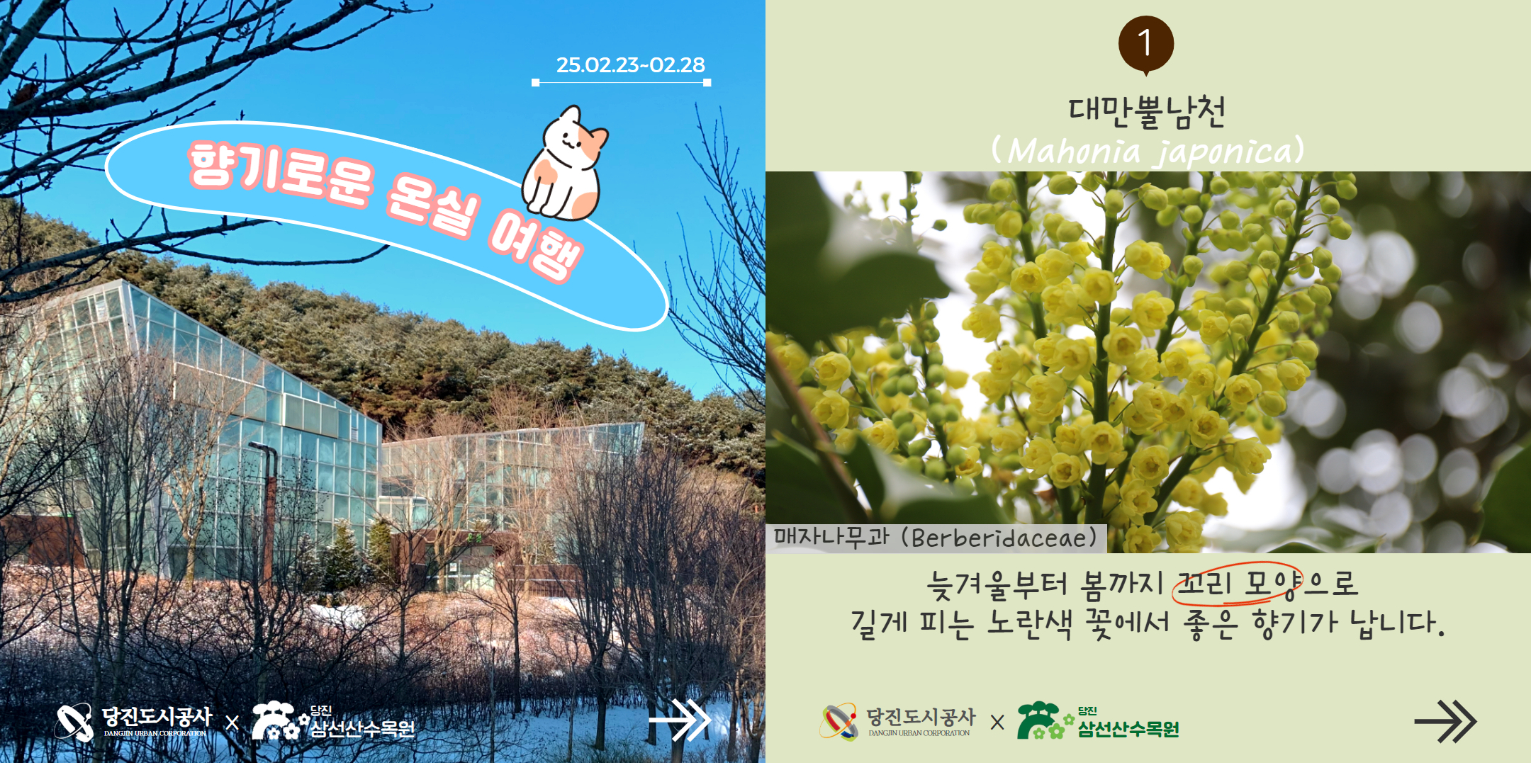 2월 4주차 식물여행