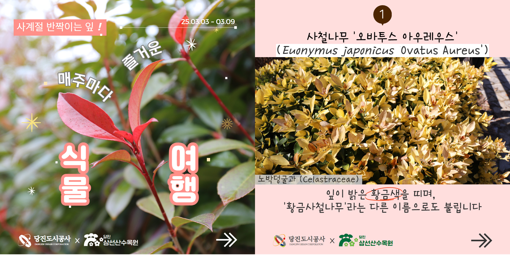 삼선산수목원 식물여행_3월1주