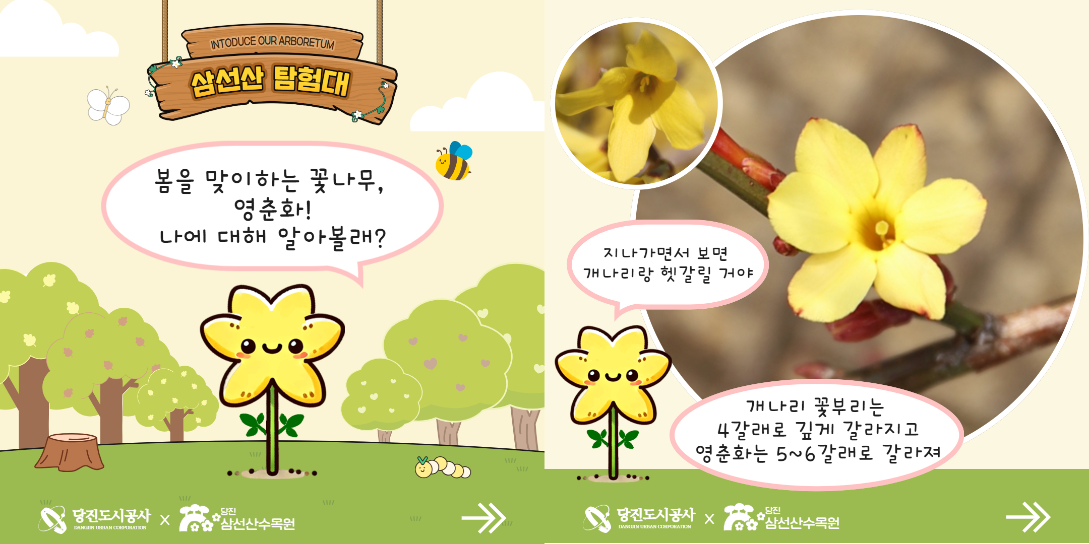 식물여행(3월3주)