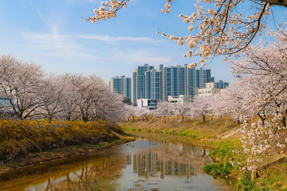 당진시, 충남 최초 비점오염원 관리지역 선정 이미지