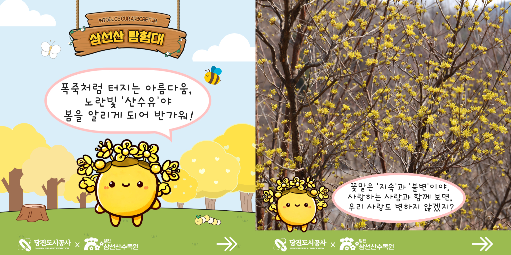 식물여행(3월4주)