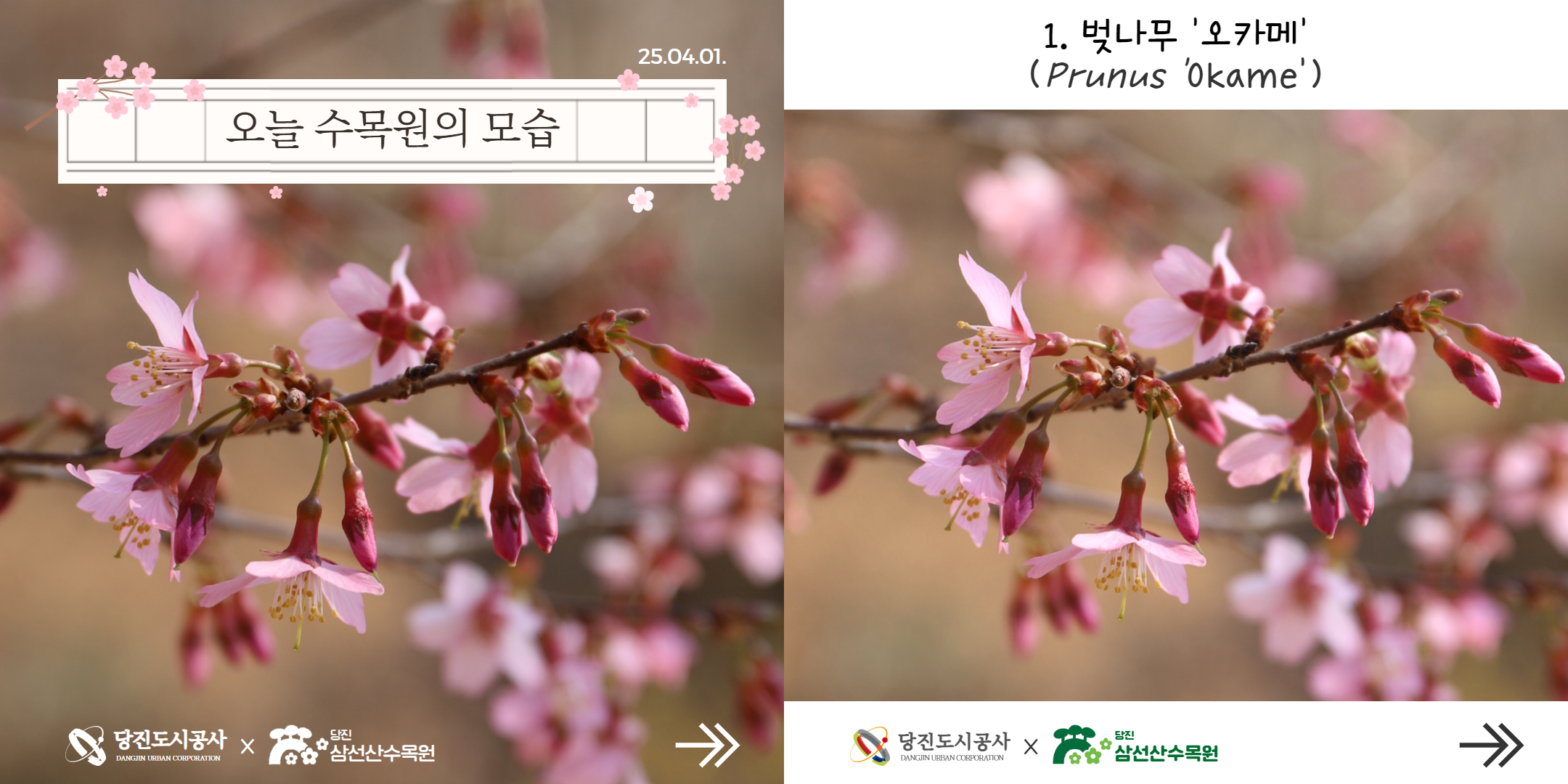 식물여행(4월1주)
