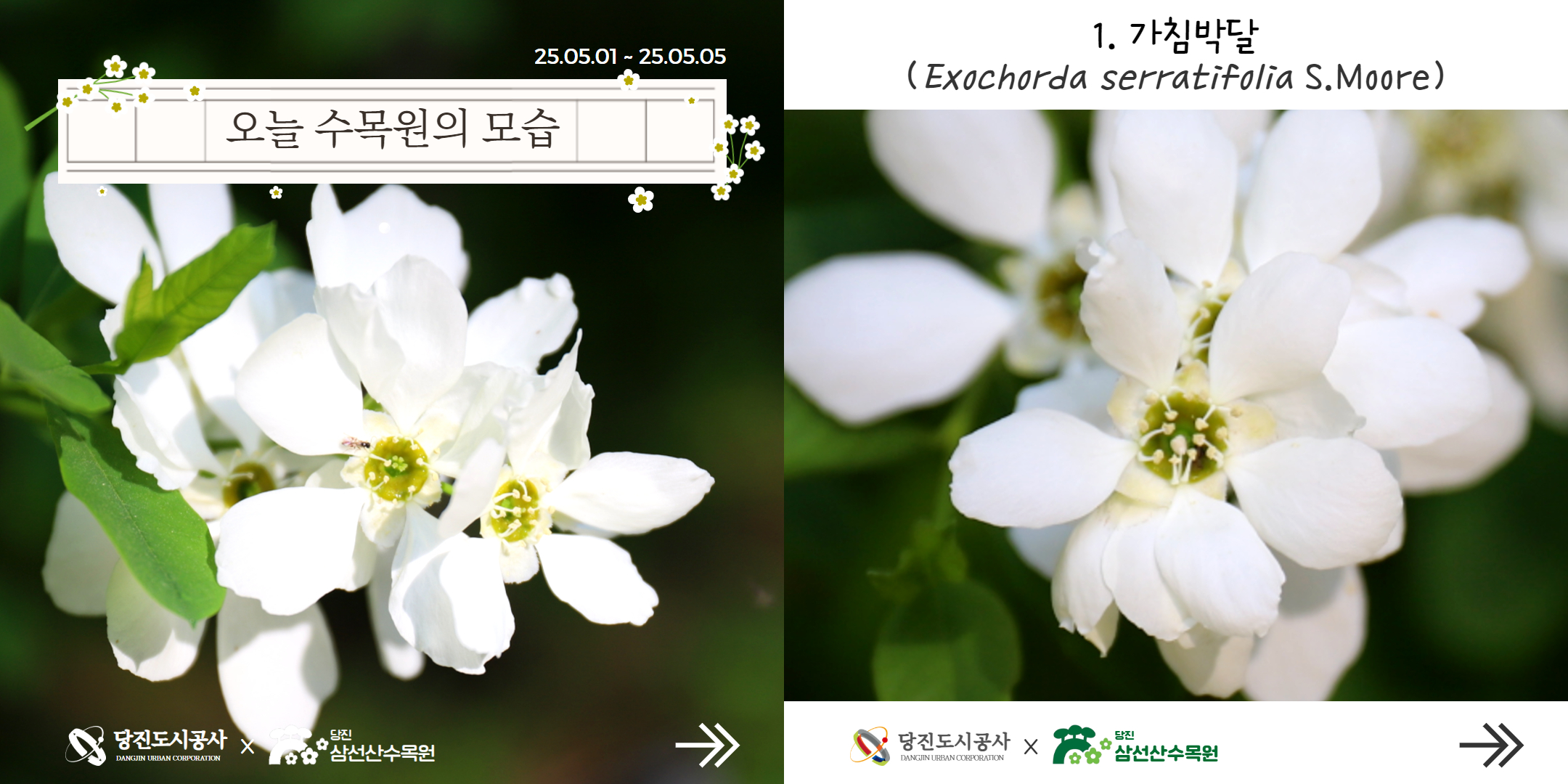 식물여행(5월1주)