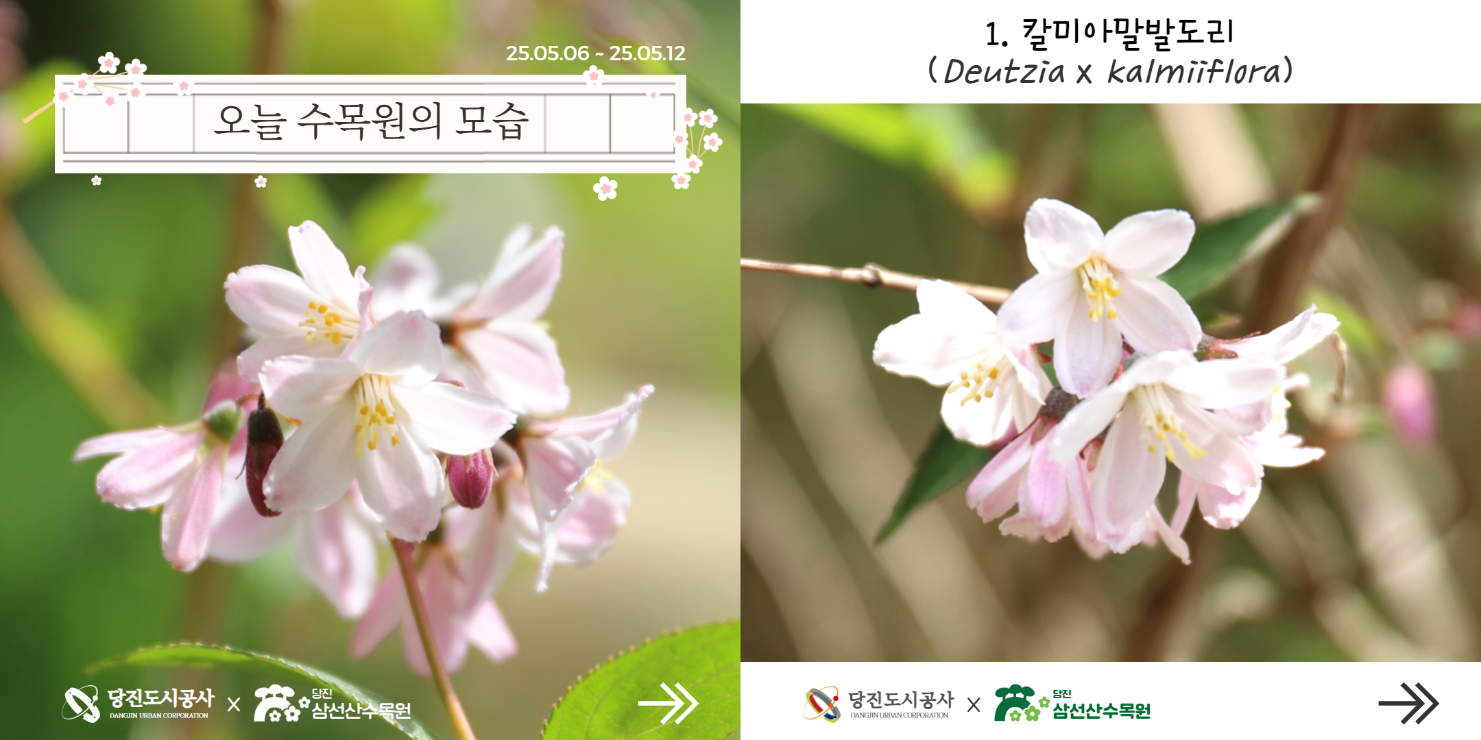 식물여행(5월2주)