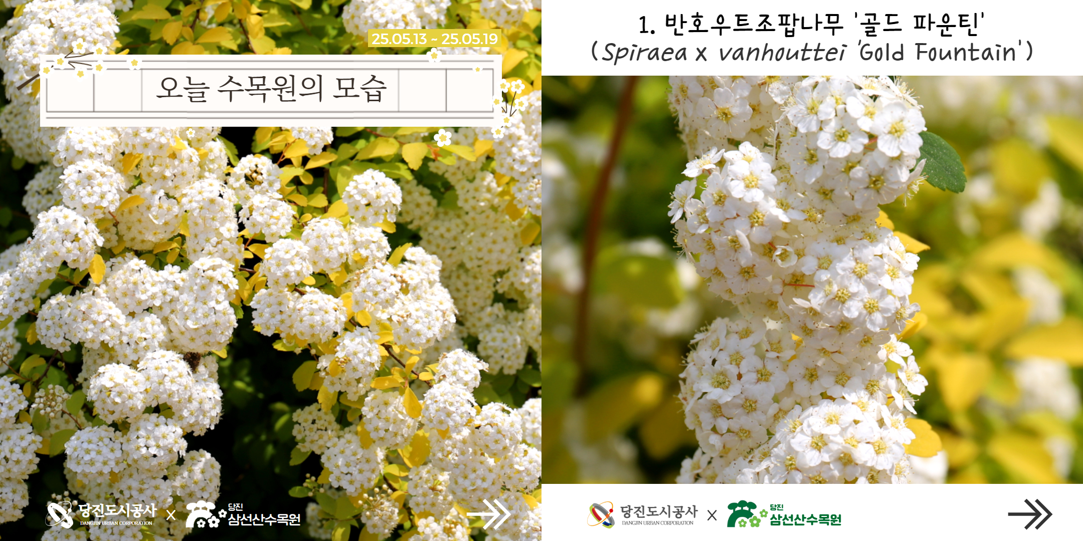 식물여행(5월3주)