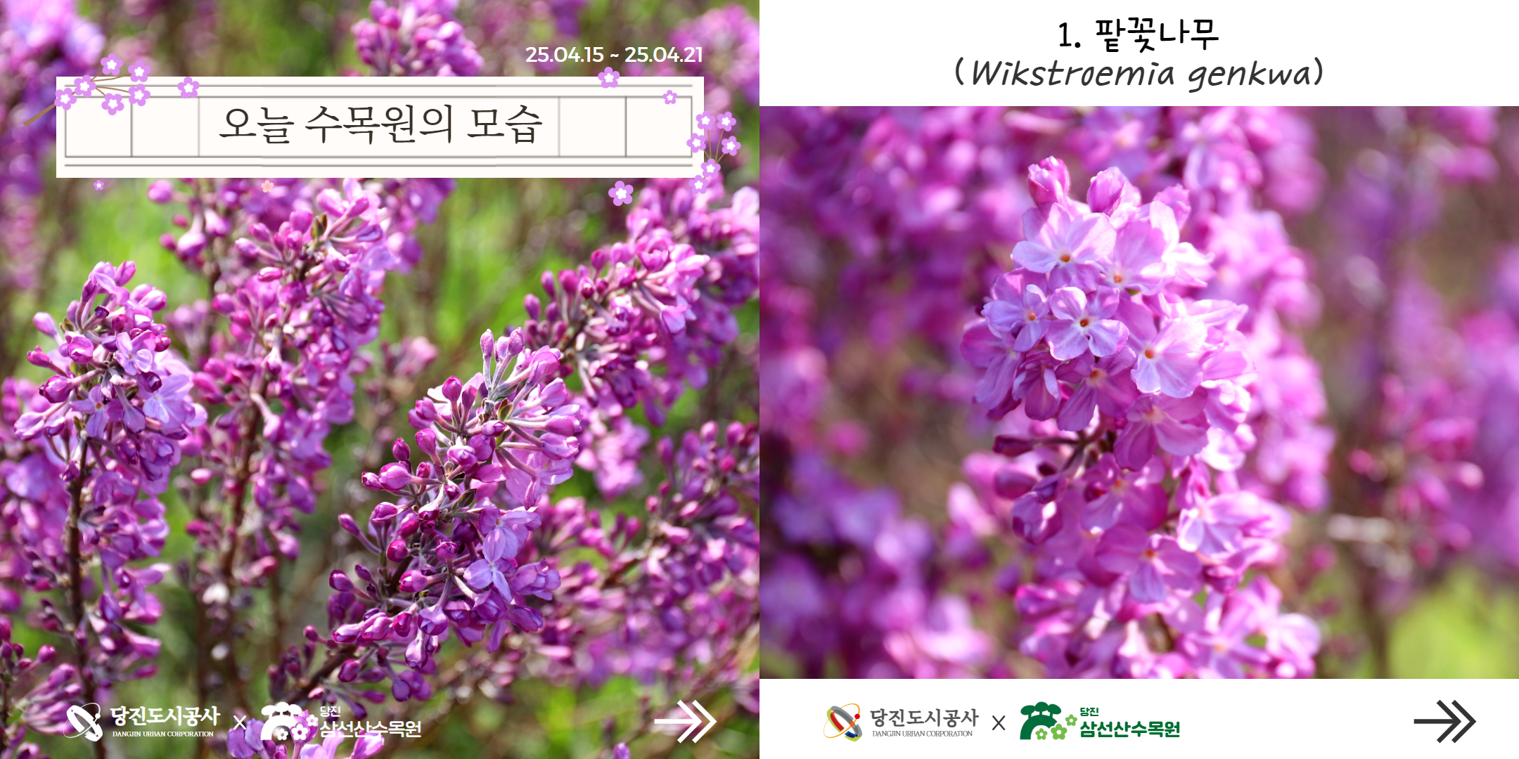 식물여행(4월3주)