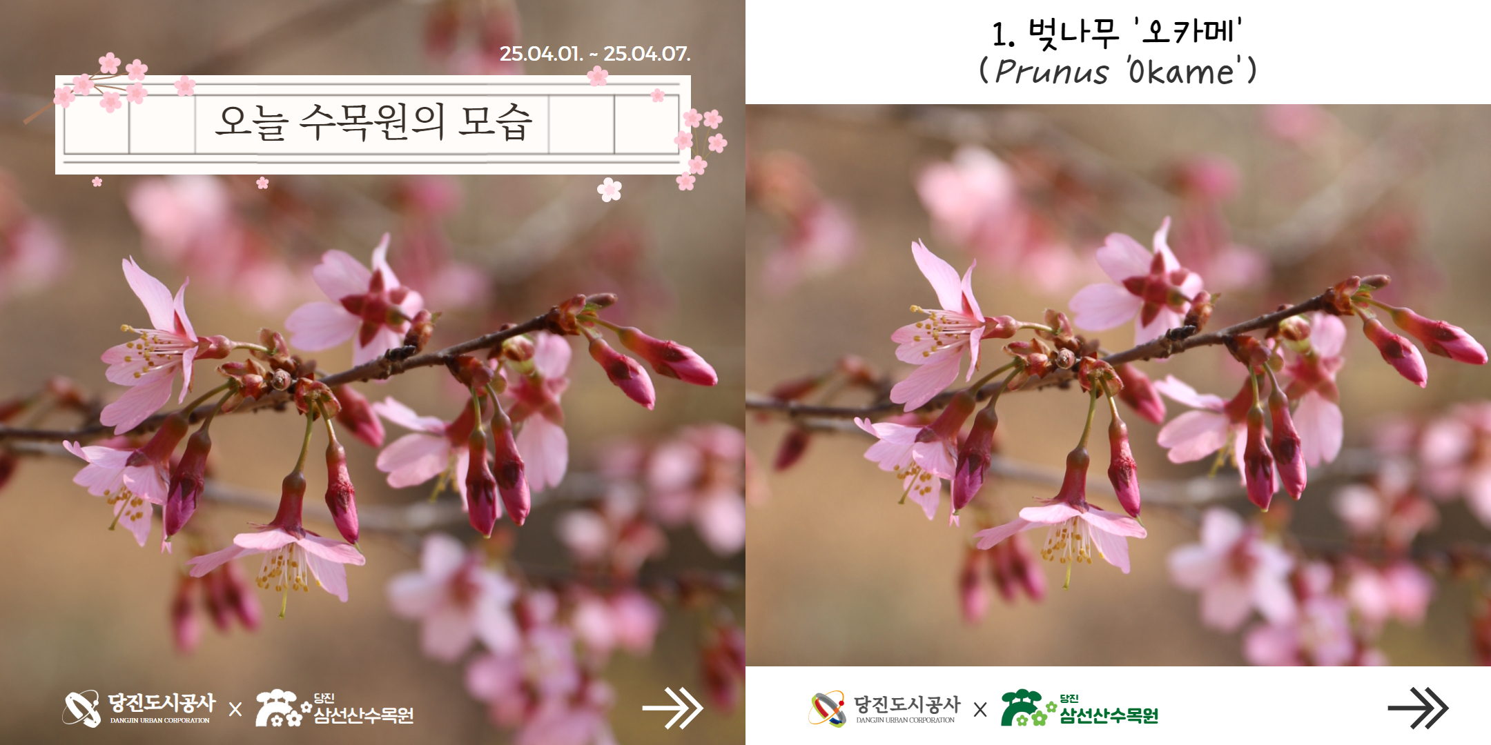 식물여행(4월1주)