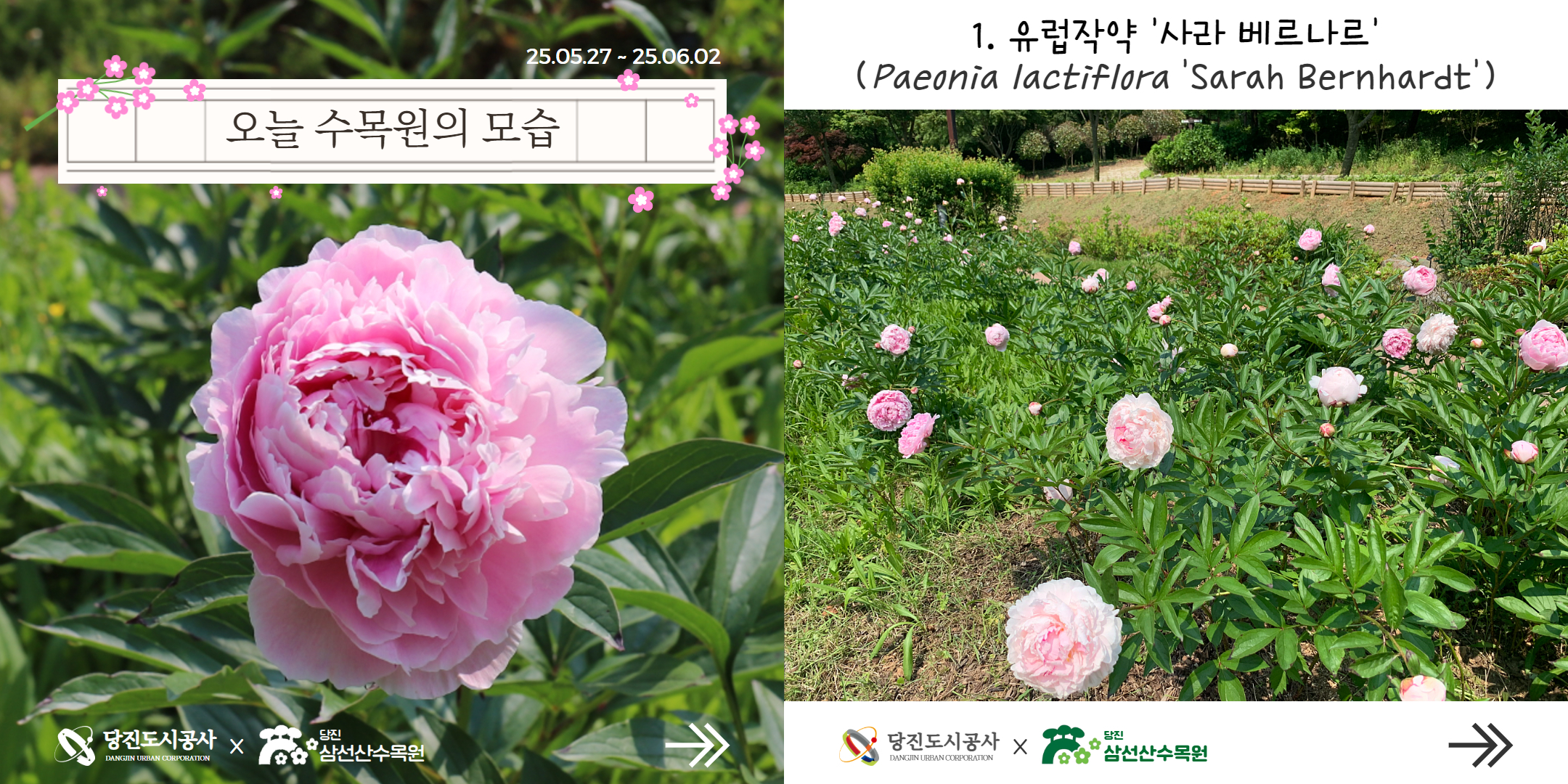 식물여행(5월5주)