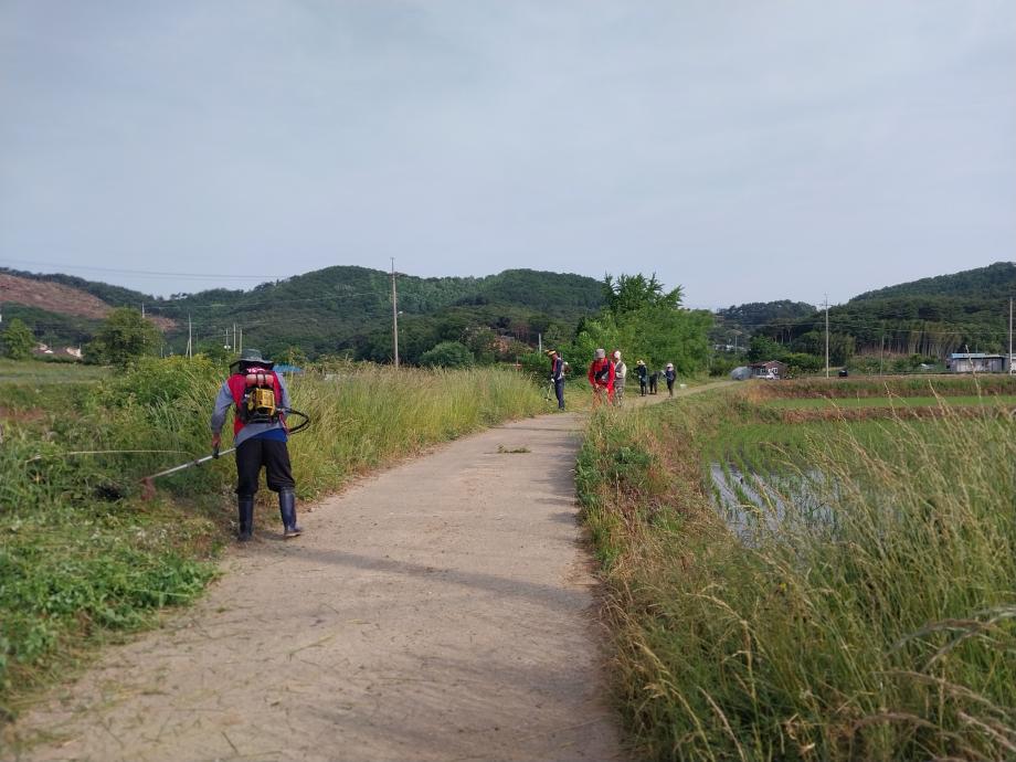 정미면 수당리 주민 일동, 제초 작업으로 이미지