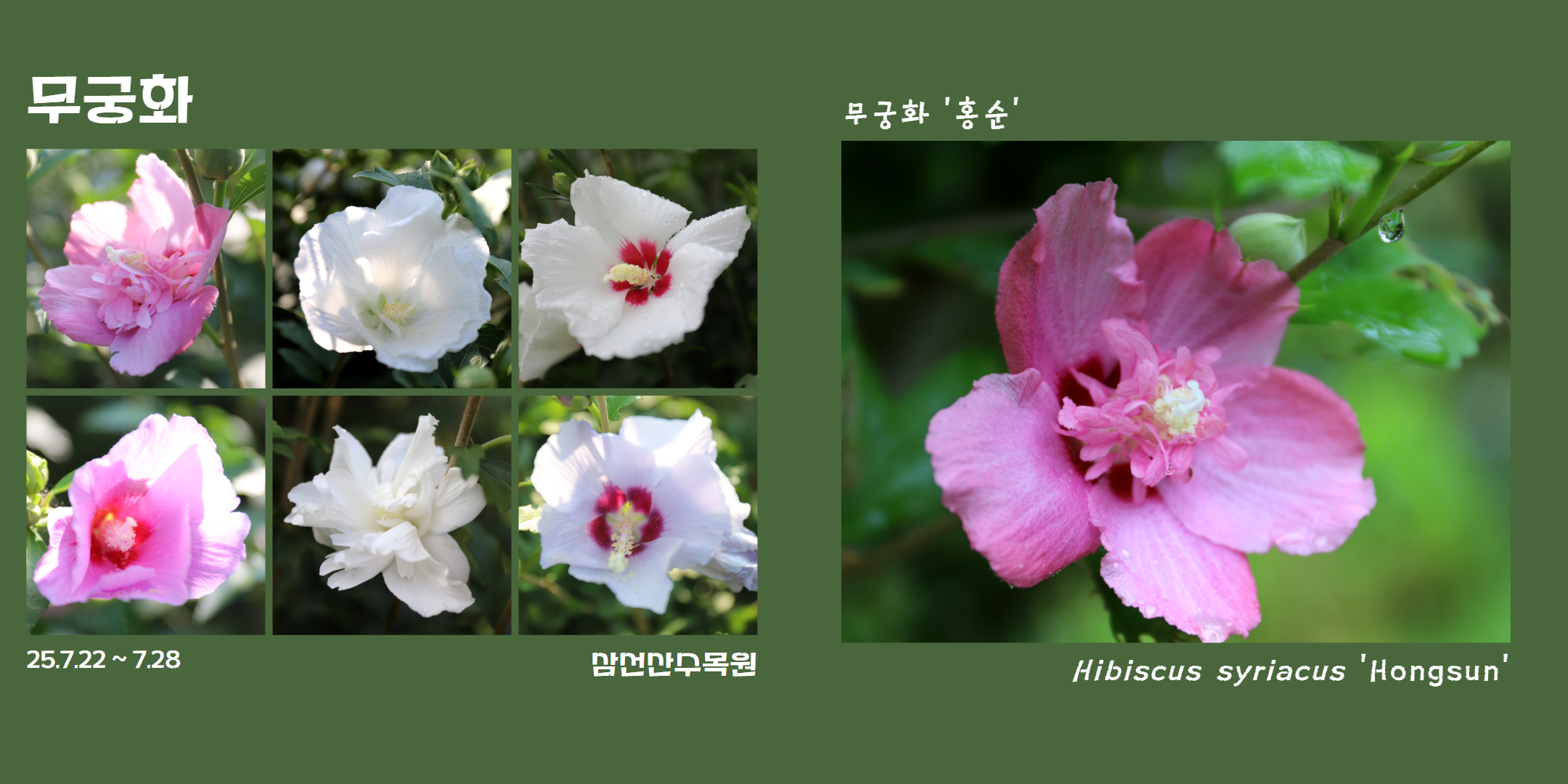 식물여행(7월4주)