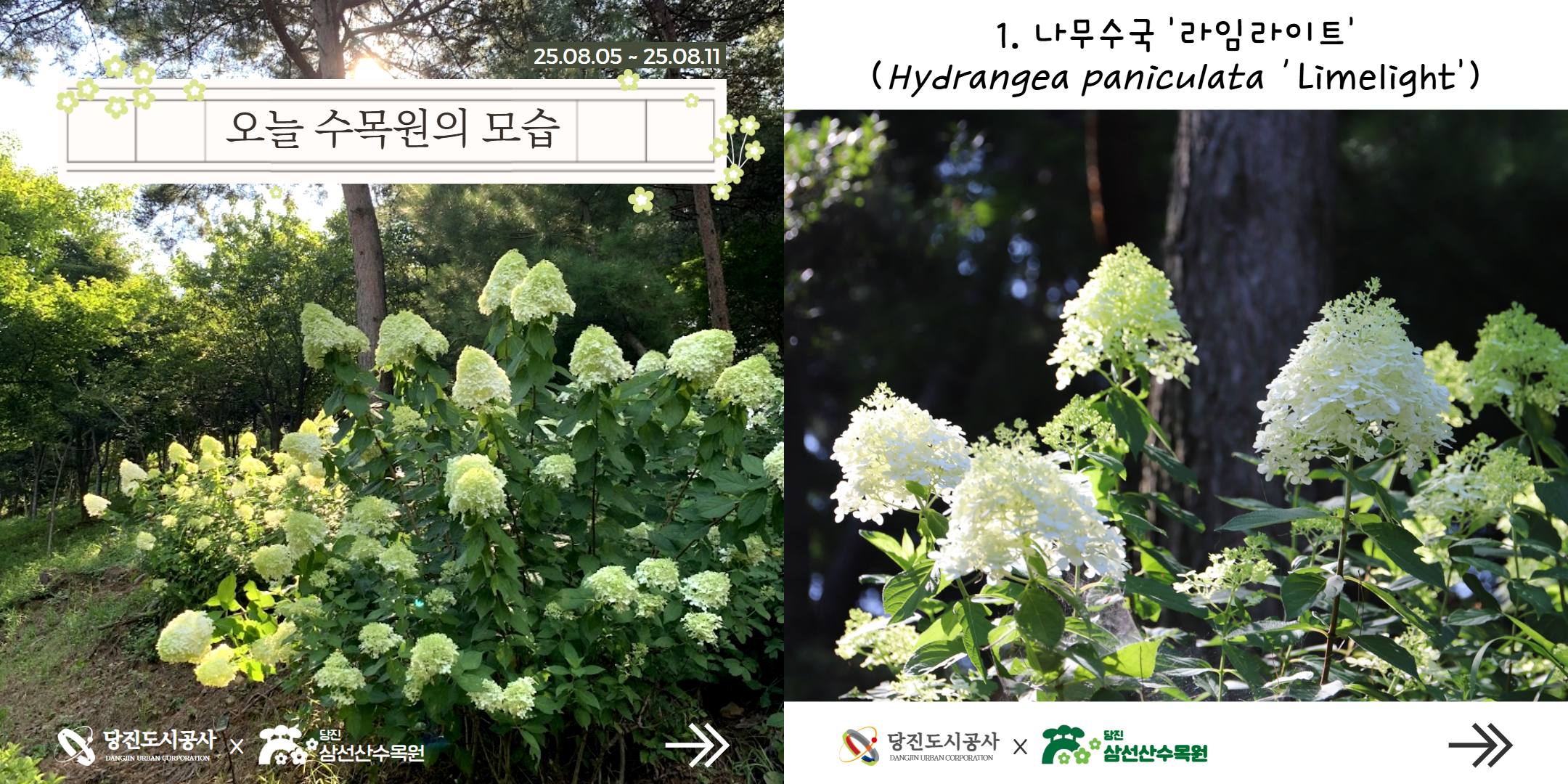 식물여행(8월2주)