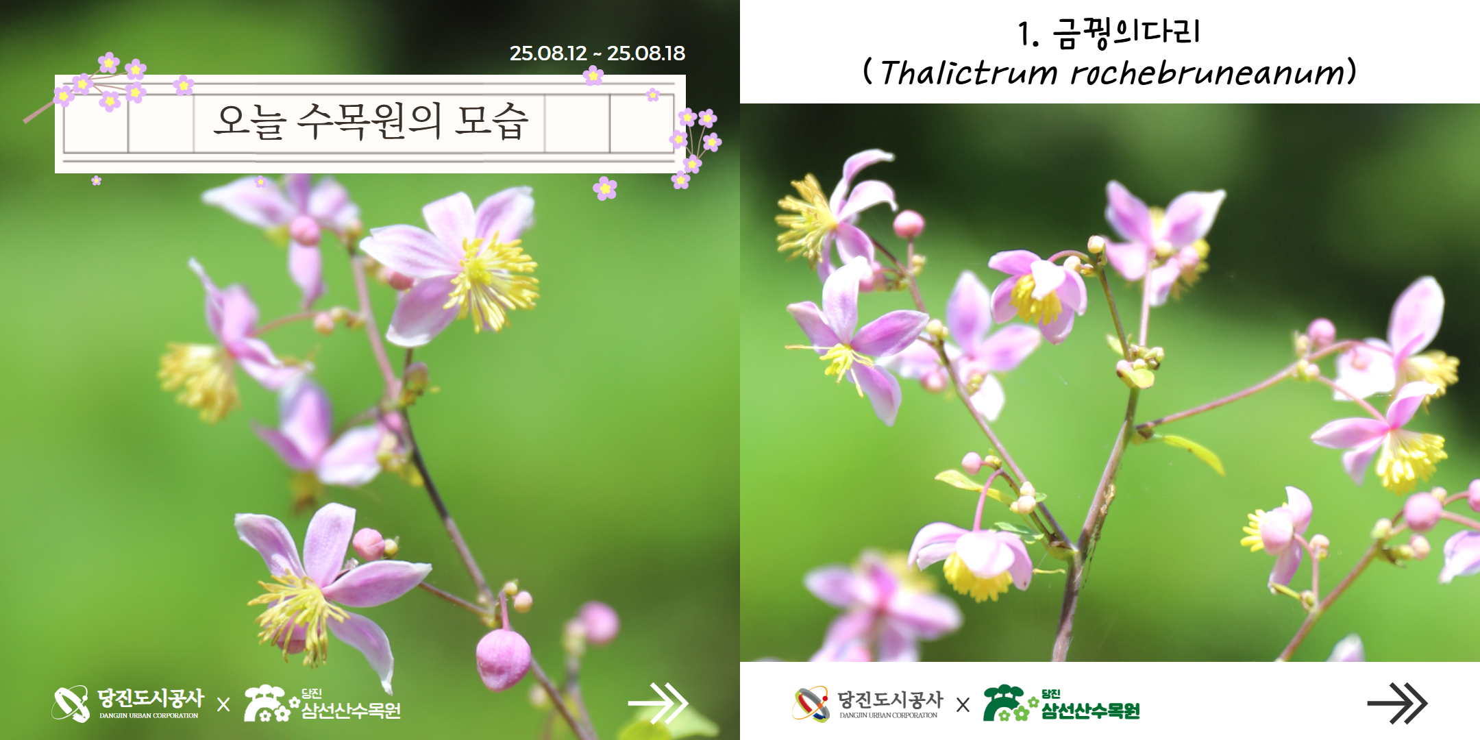 식물여행(8월3주)