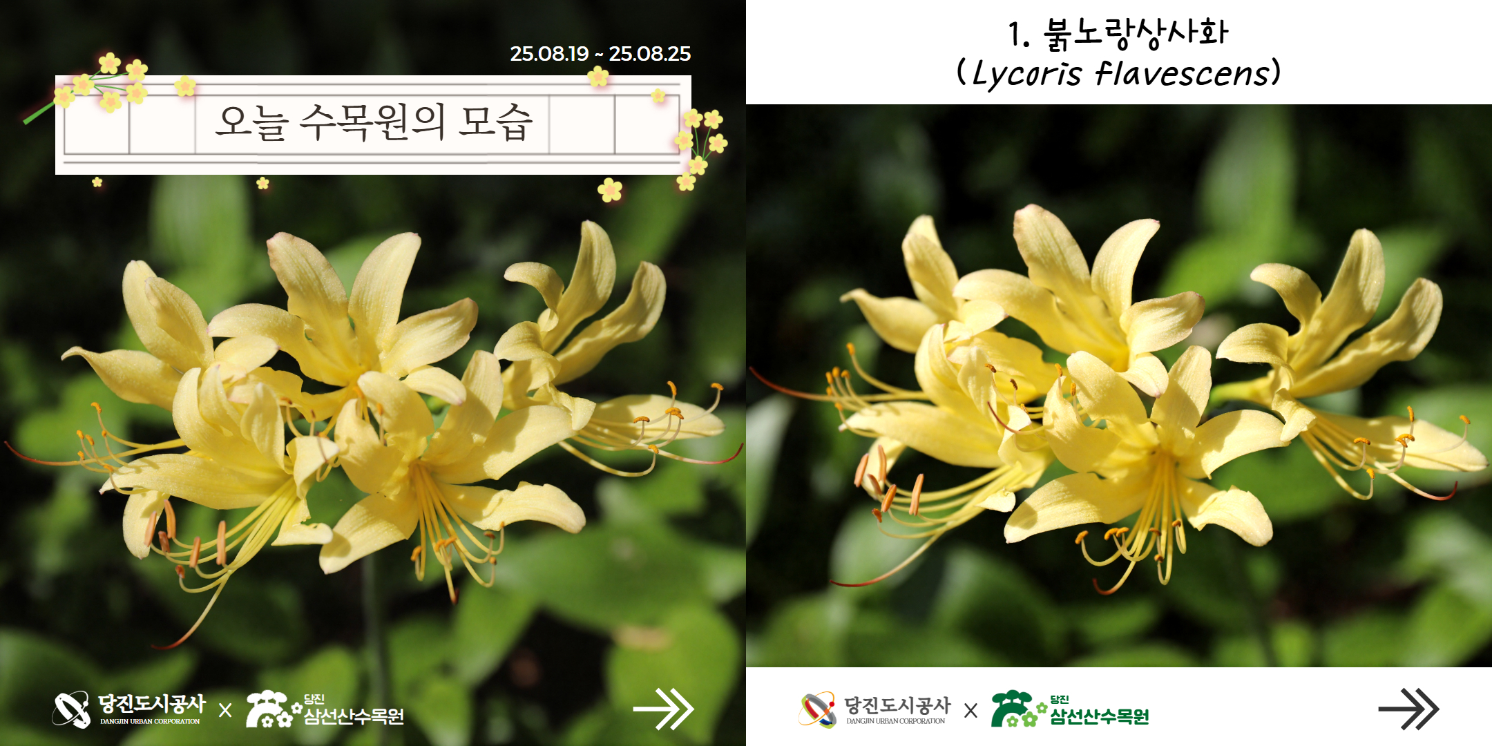 식물여행(8월4주)
