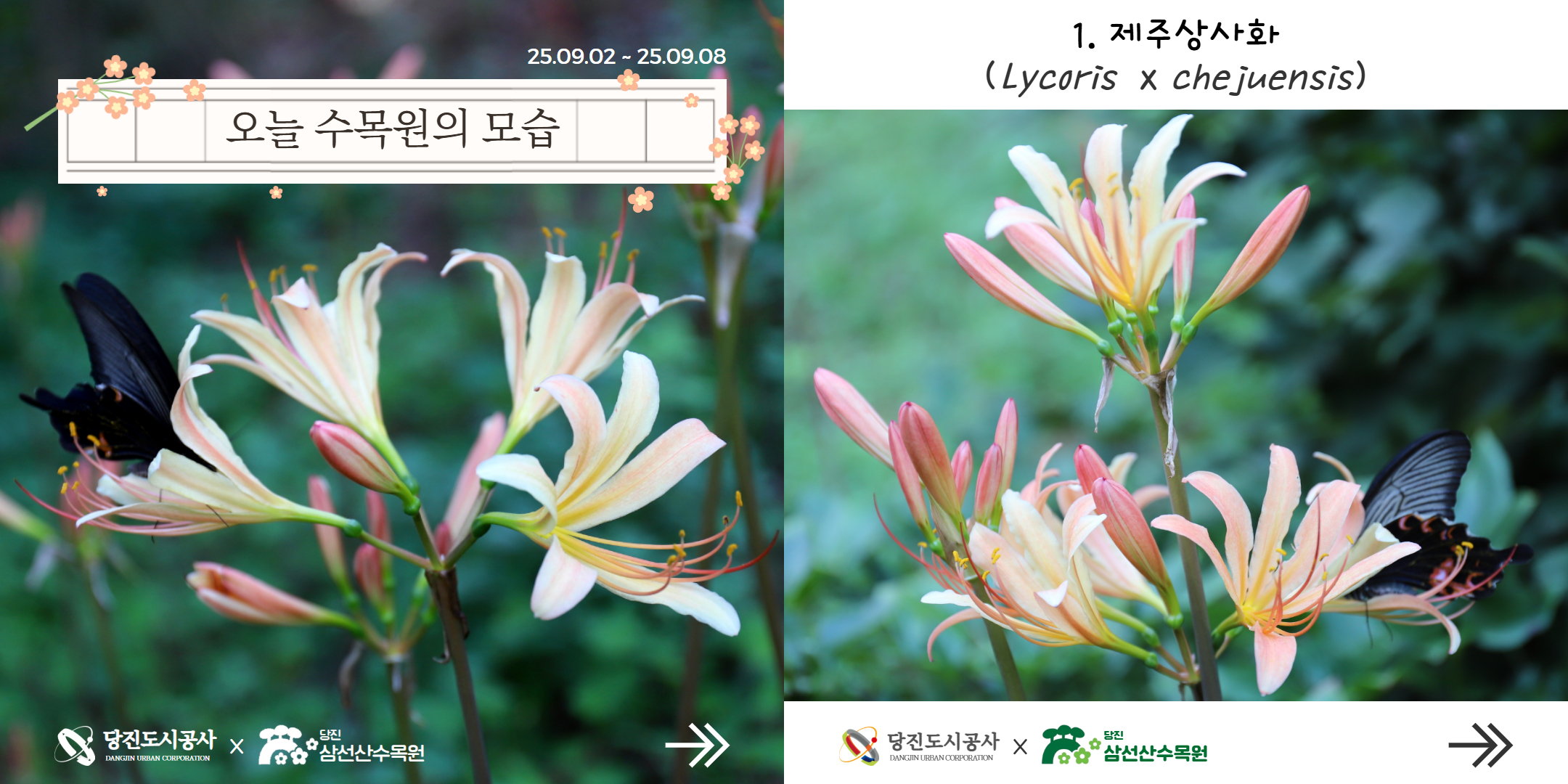 식물여행(9월1주)