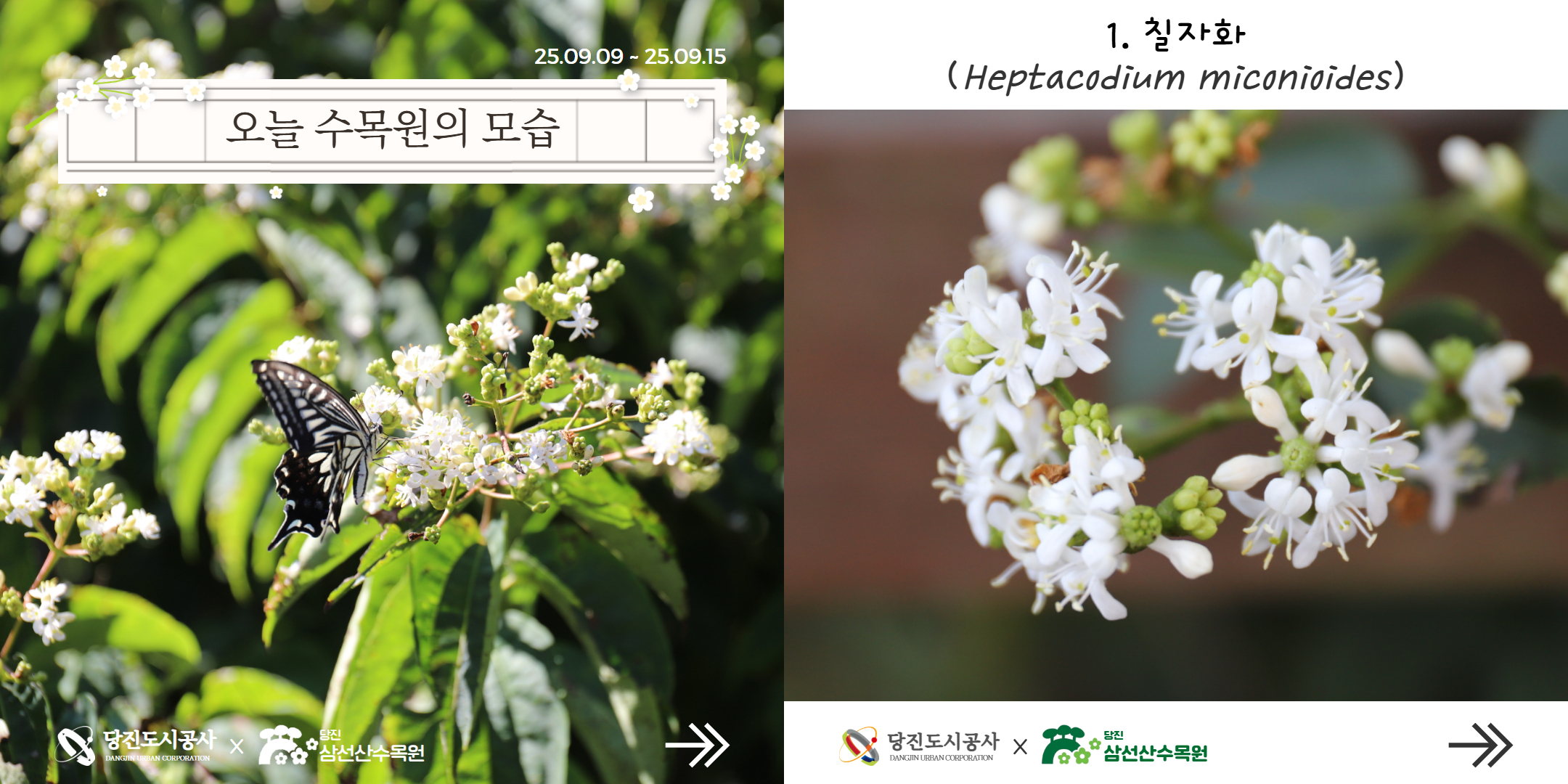 식물여행(9월2주)