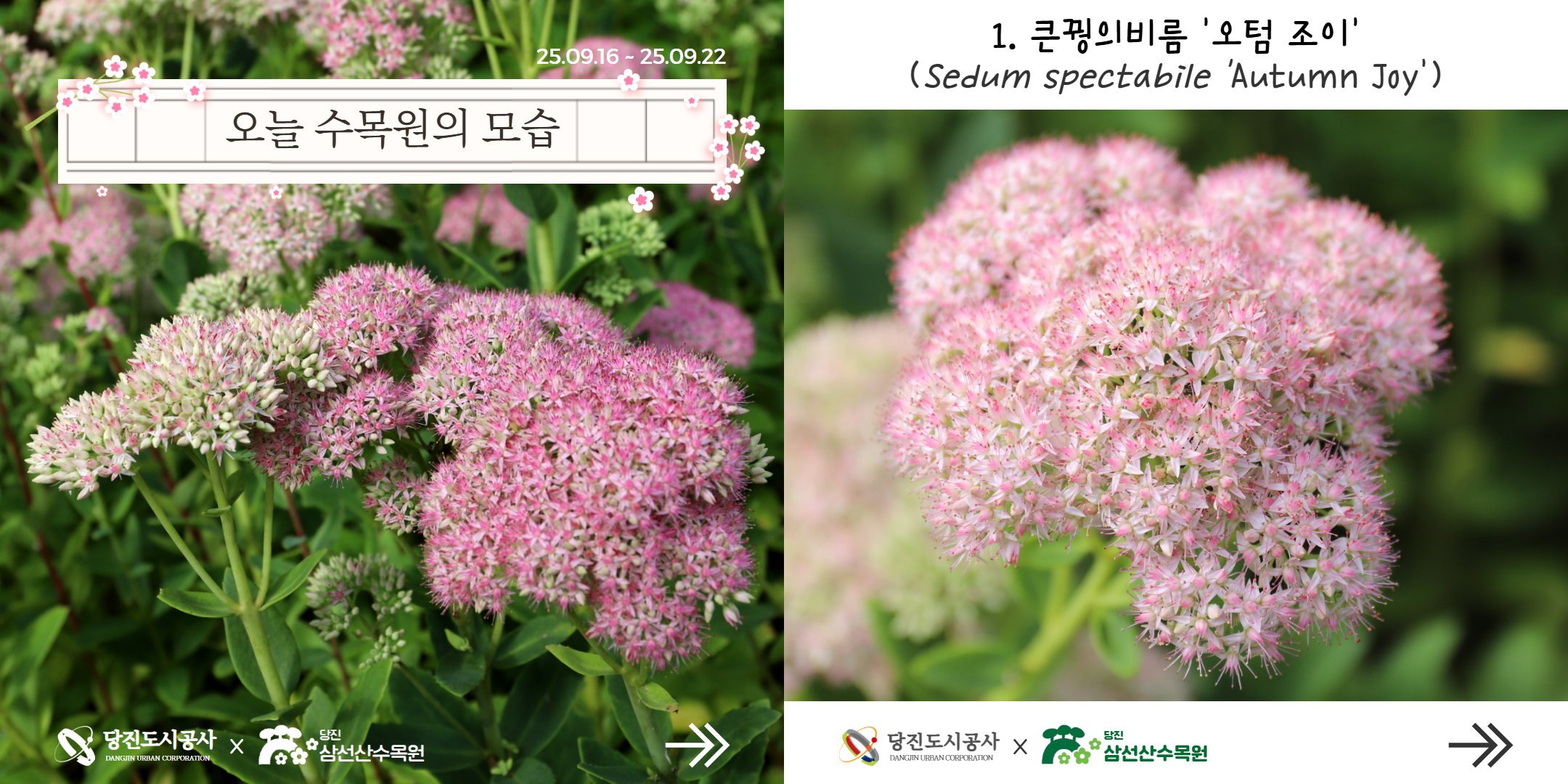 식물여행(9월3주)