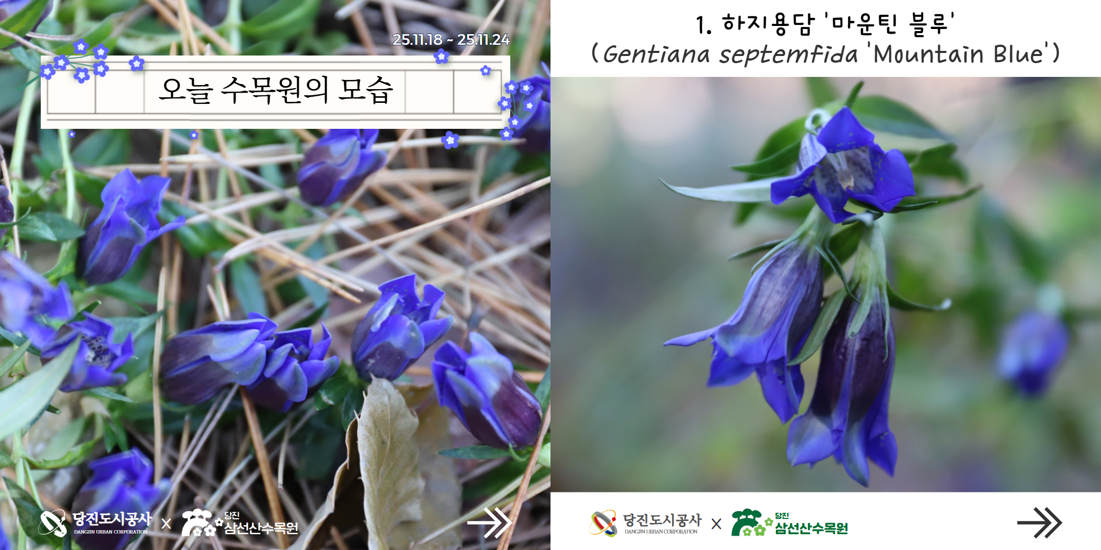 식물여행(11월3주)