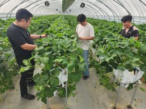 당진시, 2026년 신규 농업인 현장실습교육 연수생 모집