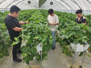 당진시, 2026년 신규농업인 현장실습교육 연수생 모집