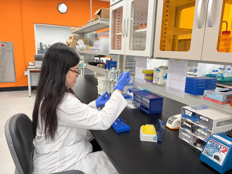 당진시, 농산물 잔류농약 검사 본격 추진 이미지