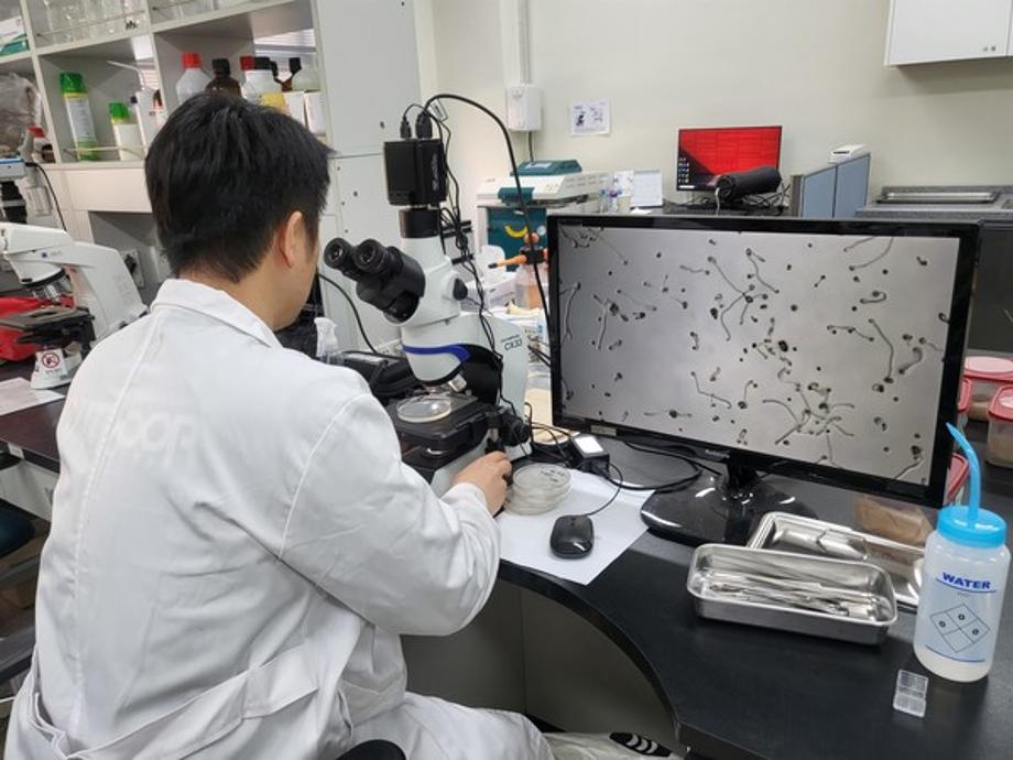당진시 꽃가루 발아율 검정 서비스 실시 이미지